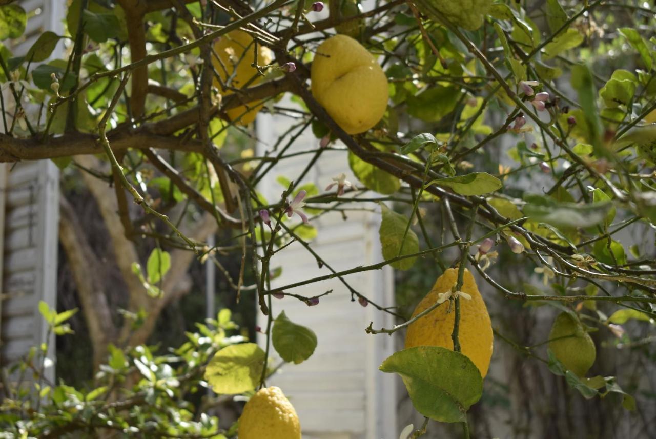Aurea Landhuis Ispica